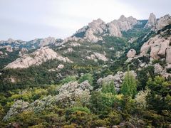 -崂山仰口游览区