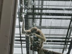 -石家庄市动物园