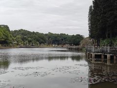-三水森林公园