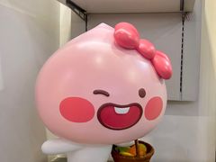 -KAKAO FRIENDS(弘大店)