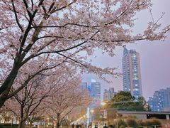 -静安雕塑公园