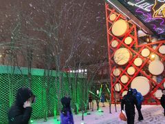 -小吊梨汤·北京菜·烤鸭(鸟巢店)