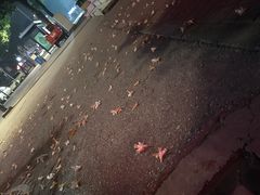 -菩之悦足道会馆(八佰伴店)