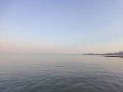 -野狸岛