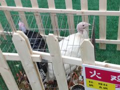 -碧乐城(无锡梁溪店)