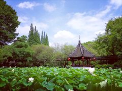 -上海醉白池公园
