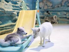 -华夏文旅海洋公园