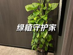 -鹿栖.精油SPA(金山世纪城店)