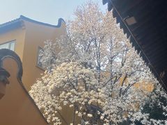 -龙华寺
