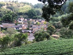 -杨家堂村