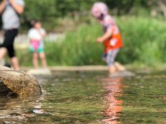 -白河湾生态旅游一条川