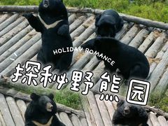 -黑瞎子岛探秘野熊园