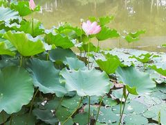 -河南省黄河迎宾馆