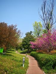 -宝生月子中心(民治店)