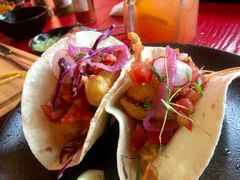-Pistolera Mexican Cantina女枪手墨西哥餐厅(碧云路店)