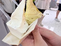 -野人先生现做冰淇淋(北京环宇荟店)