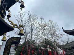 -长春观