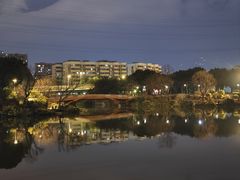 -光明港公园