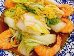 青岛大虾烧白菜-0532啤酒屋