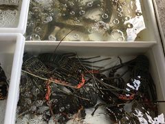 -拉威海鲜市场