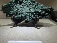 -陕西自然博物馆