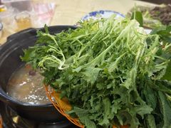 -一煲鸽