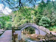 -广州市石门国家森林公园