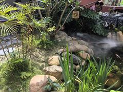 -菌林天下·野生菌汤锅