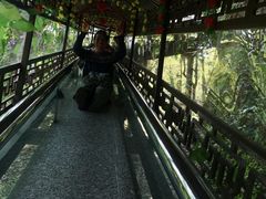 -常德桃花源景区