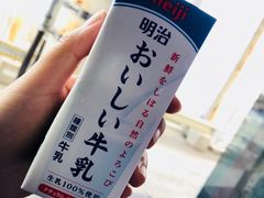 -道顿堀水上观光船(太左衛門橋船着場)