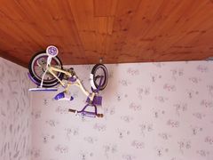 -金山农民画村-枫泾波兰倒置屋