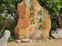 -天适樱花悠乐园