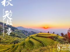 -紫鹊界梯田景区