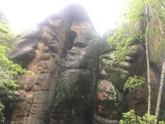-汤旺河林海奇石景区