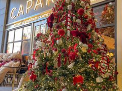 -CAPARESH開府莱舍(望京金辉店)