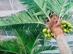 -温都水城·水梦奇缘