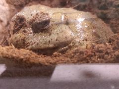 -正佳雨林生态植物园