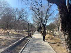 -元大都城垣遗址公园