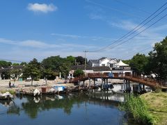-莲花岛景区