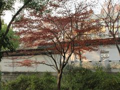 -秋霞圃