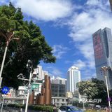 春天来了，天气晴朗，出来逛逛顺便觅食放松心情