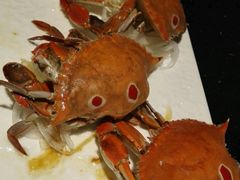 android_upload_pic-梅筑·创意料理(王府井百货店)