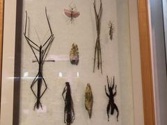 -陕西自然博物馆