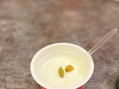 自制老酸奶-贯贯吉·清真餐厅(浙江中路店)