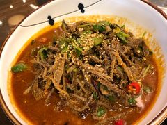 -七菜馆·东北菜·蒸饺(文体路店)