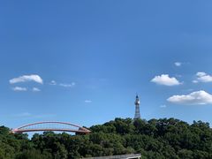 -金鸡山公园