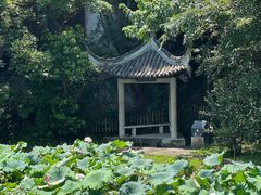 -绍兴东湖风景区