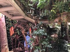 -正佳雨林生态植物园