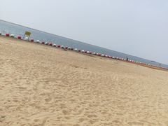 -碧海金沙