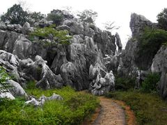 -千岛湖石林